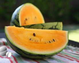 Red Hot Yellow Watermelon