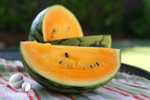 Watermelon-013