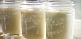 Homemade Matcha Green Tea Yogurt: A Lesson in Culture