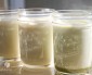 Homemade Matcha Green Tea Yogurt: A Lesson in Culture