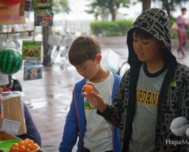 Taiwanese Carnival Games