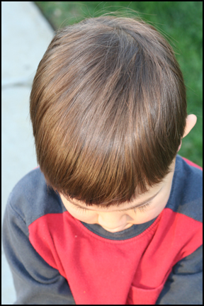 little boy with light brown hair