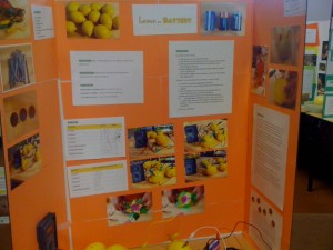 lemon battery science fair display