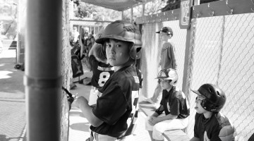 baseball LIfeAPA