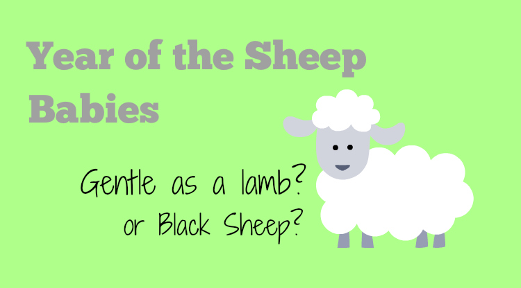 Year of the Sheep Babies - HapaMama
