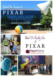 What It's Really Like at Pixar, HapaMama